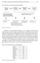 Miniaturka strony 99