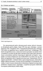 Miniaturka strony 37