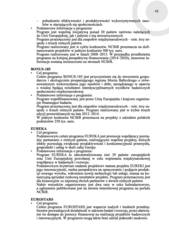 Miniaturka strony 41