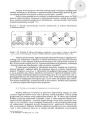 Miniaturka strony 39