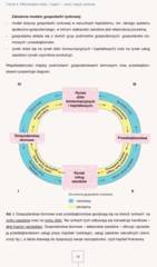 Miniaturka strony 38