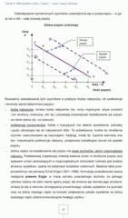 Miniaturka strony 47