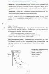 Miniaturka strony 19