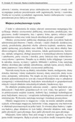 Miniaturka strony 86