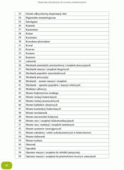 Miniaturka strony 38