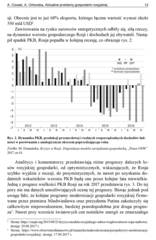 Miniaturka strony 13