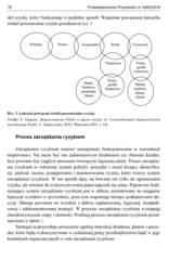 Miniaturka strony 18