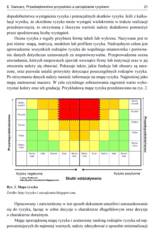 Miniaturka strony 21