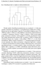 Miniaturka strony 35