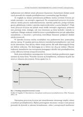 Miniaturka strony id_116_99