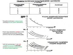 Miniaturka strony f8