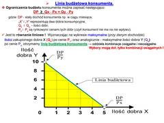 Miniaturka strony f13