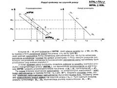 Miniaturka strony n8